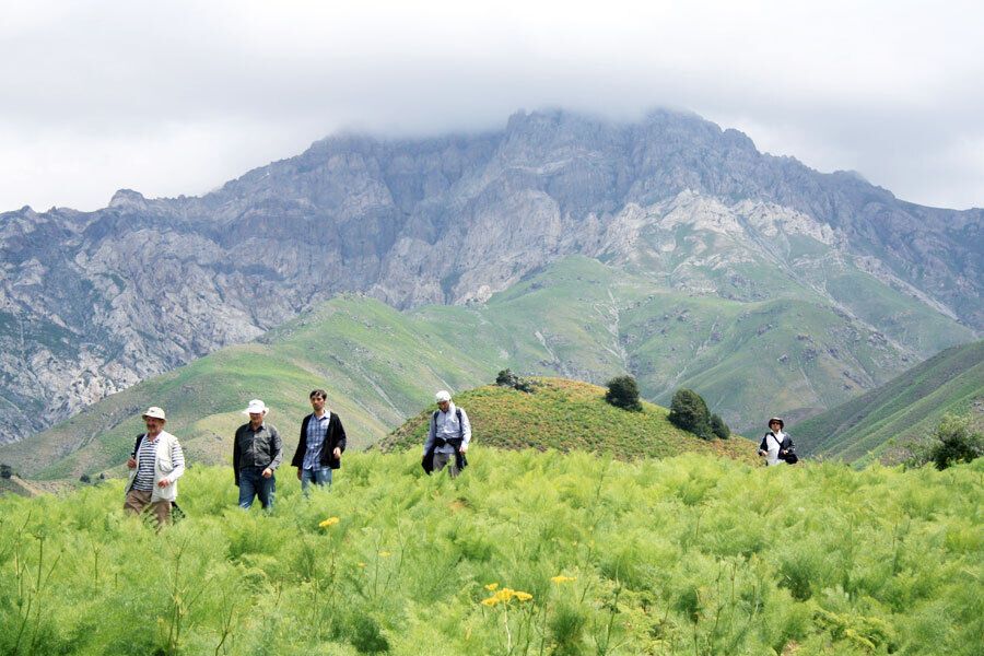 Uzbekistan aims for active development of mountain tourism