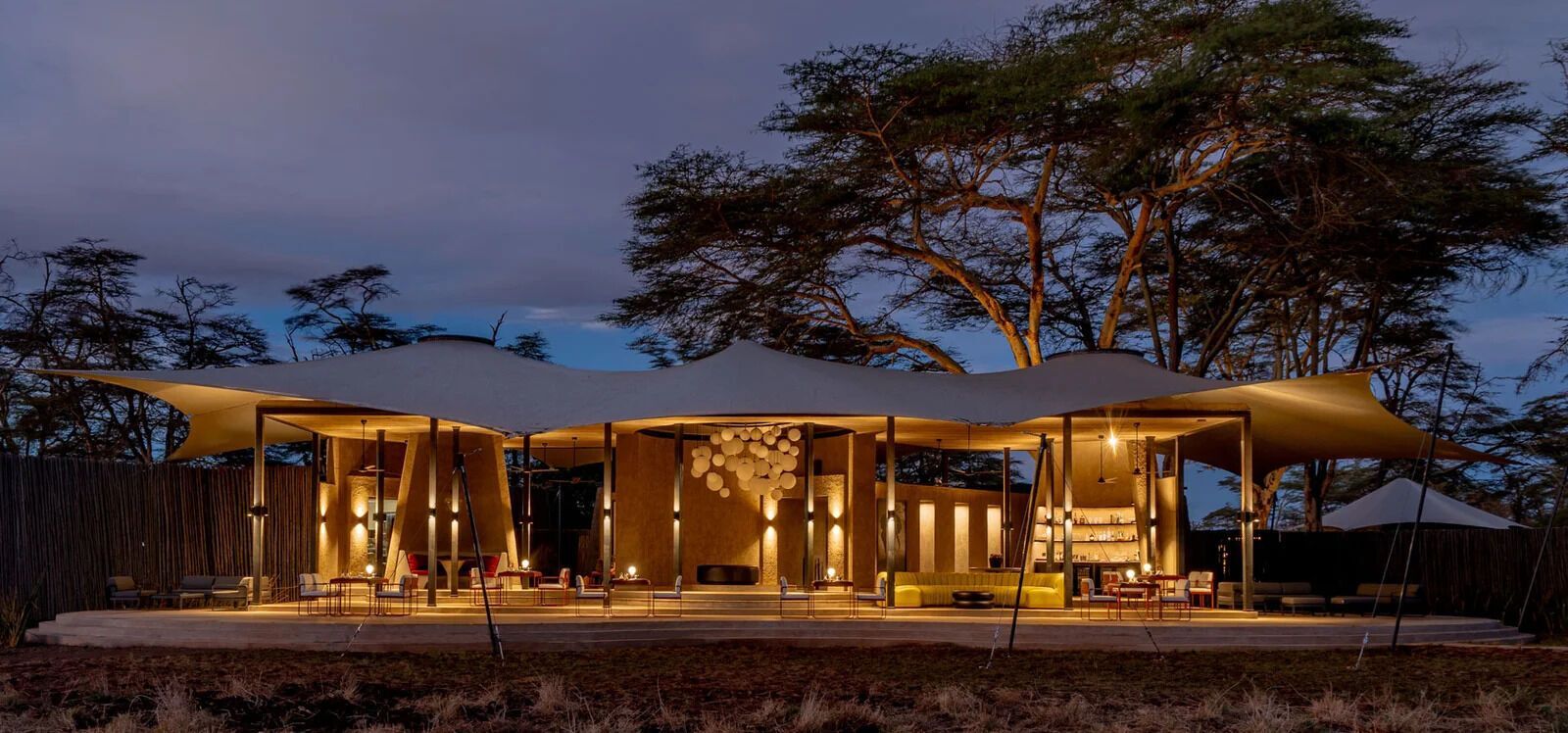 Top 8 luxury safaris in Africa: with lavish accommodations, exciting adventures, and plenty of wildlife around