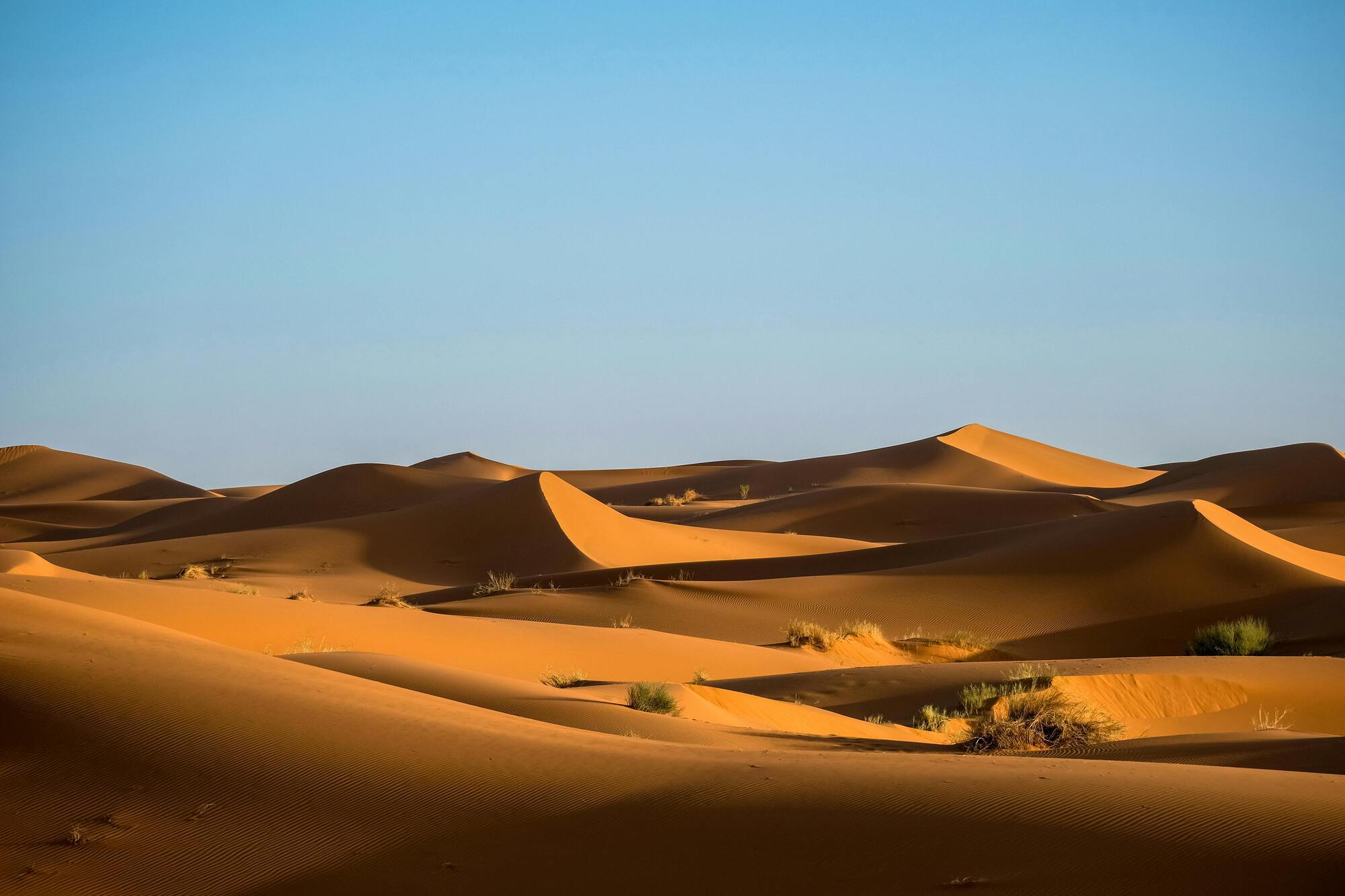 Why nature needs sand dunes and why they may disappear 