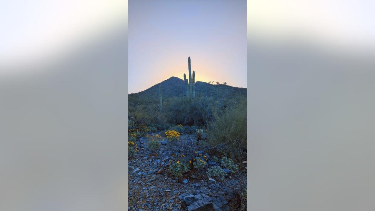 Mountain ranges, sunrises and sunsets: amazing photos of Arizona landscapes