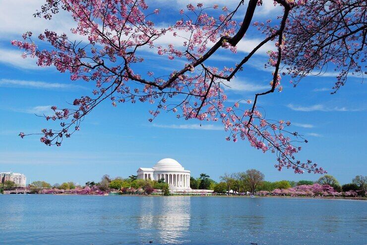 Weather in the USA in spring 2024 and the best places to visit
