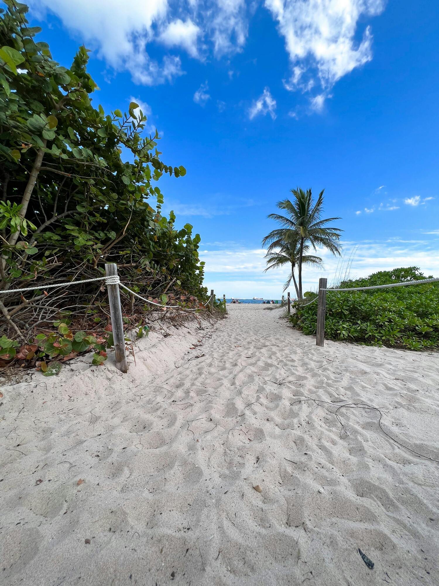 Best Florida beaches for relaxing on calm waters, wave surfing and trails for scenery walks
