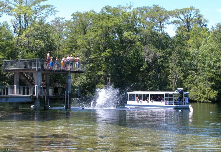 Top 12 best places to swim in Florida: from natural springs in the middle of the wilderness to a pool at a former quarry site