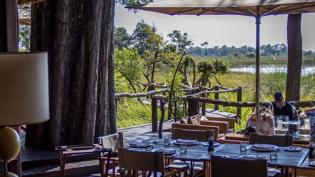 The best safari camps and lodges in Africa: 17 secrets for a wonderful vacation with family or friends surrounded by pristine nature