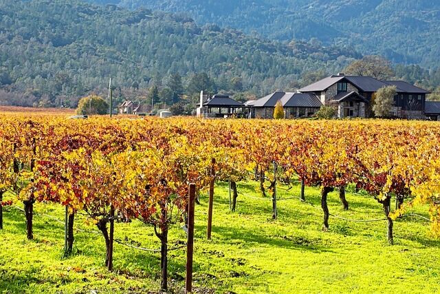 California wineries