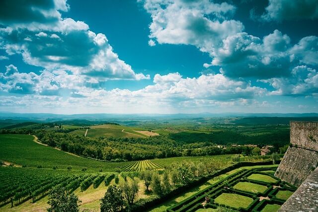 Italy's best vineyards in Tuscany