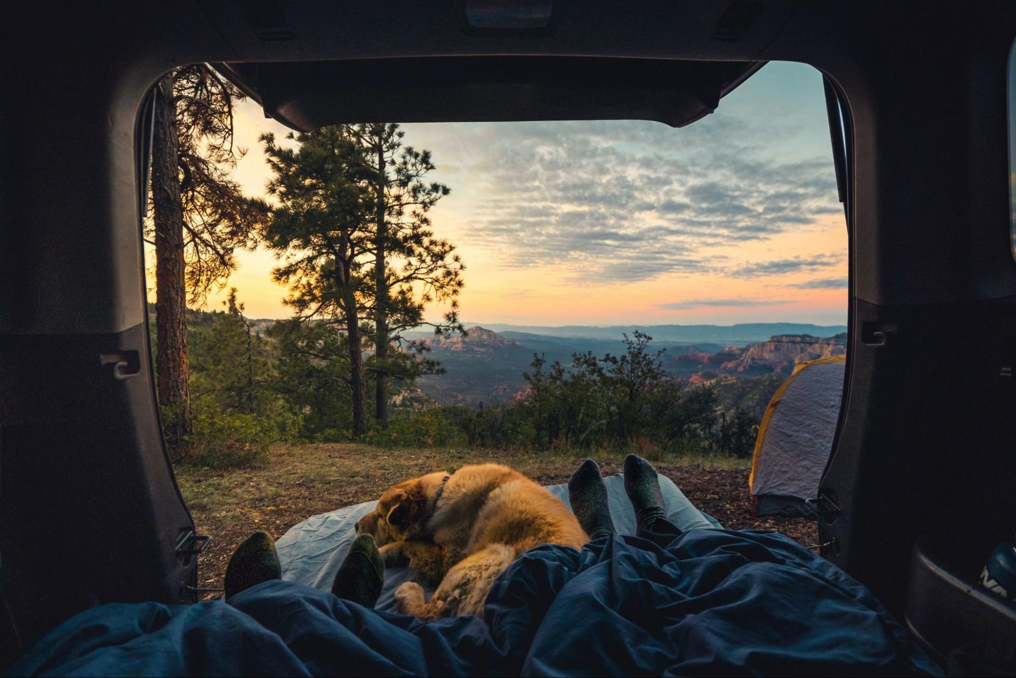 Family camping with the dog