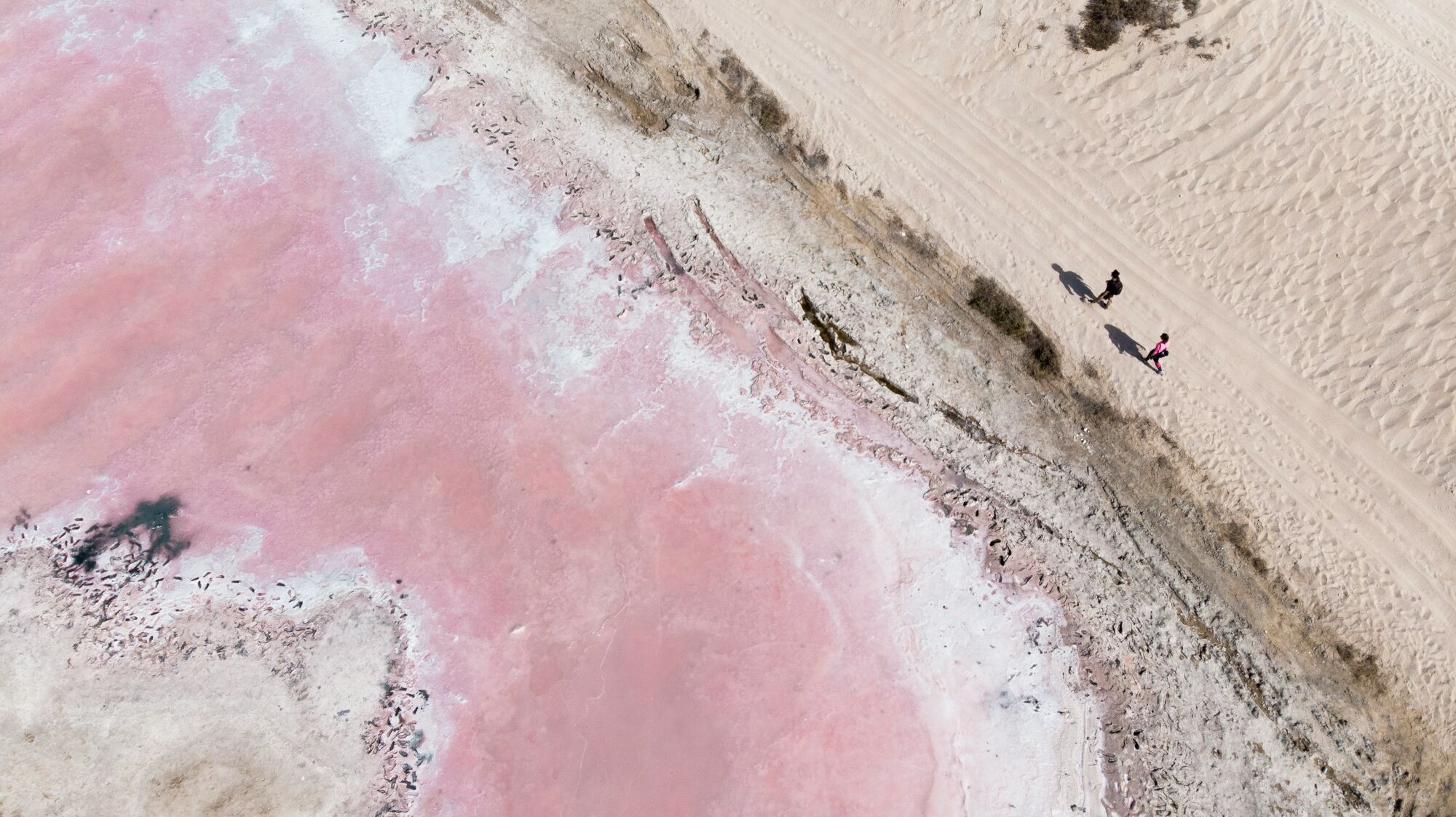 PINK LAKE RAS AL KHAIMAH