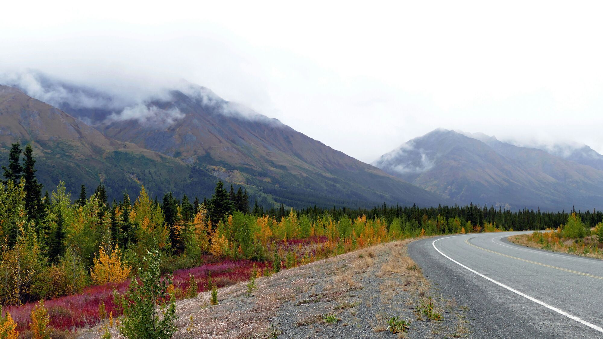 Autumn colors along the road - Yukon Canada
