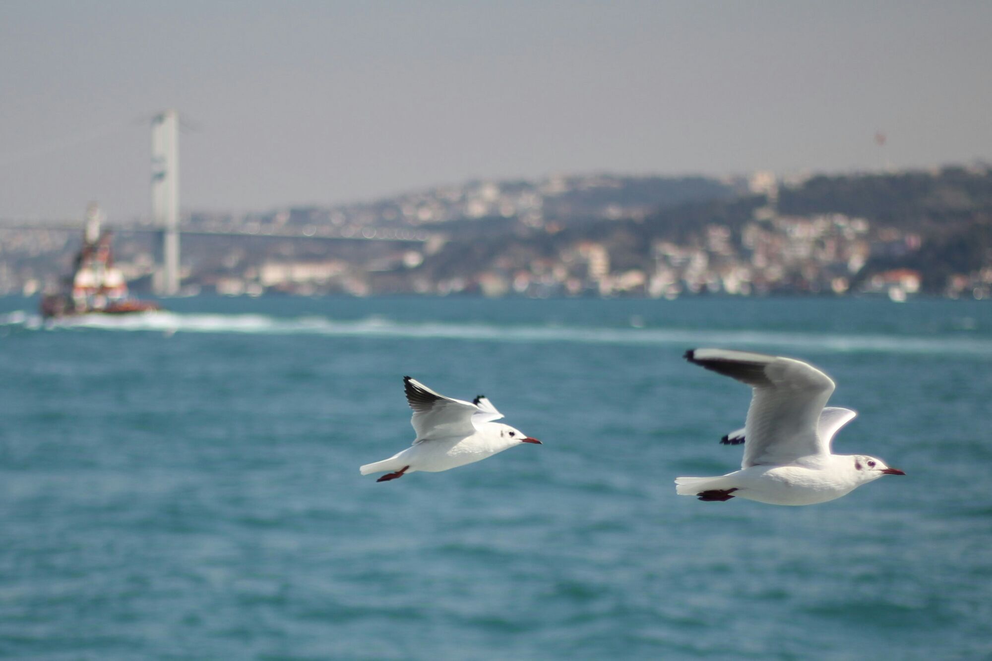 Bosphorus, Türkiye