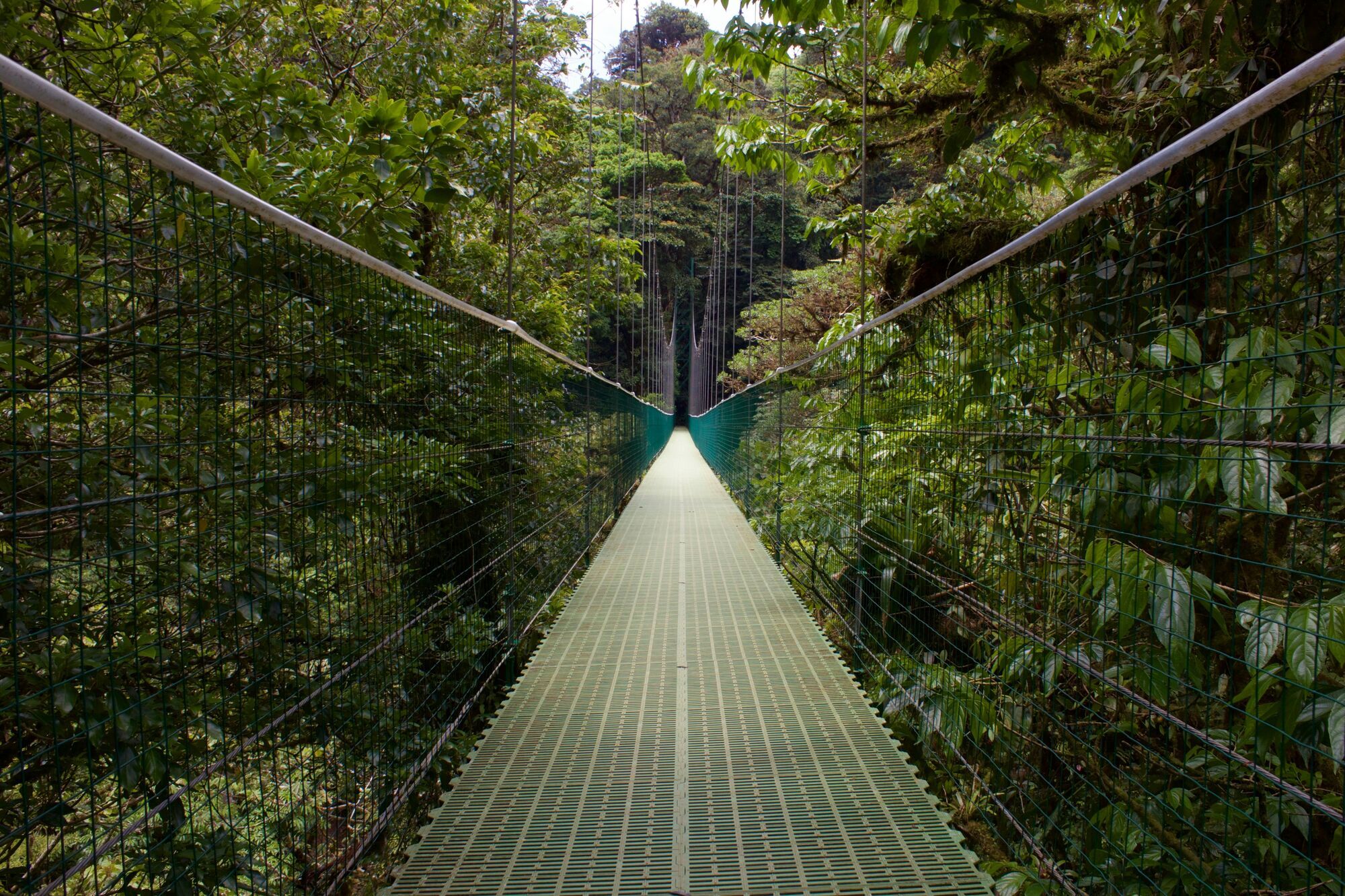 Selvatura, Guanacaste Province, Monteverde, Costa Rica