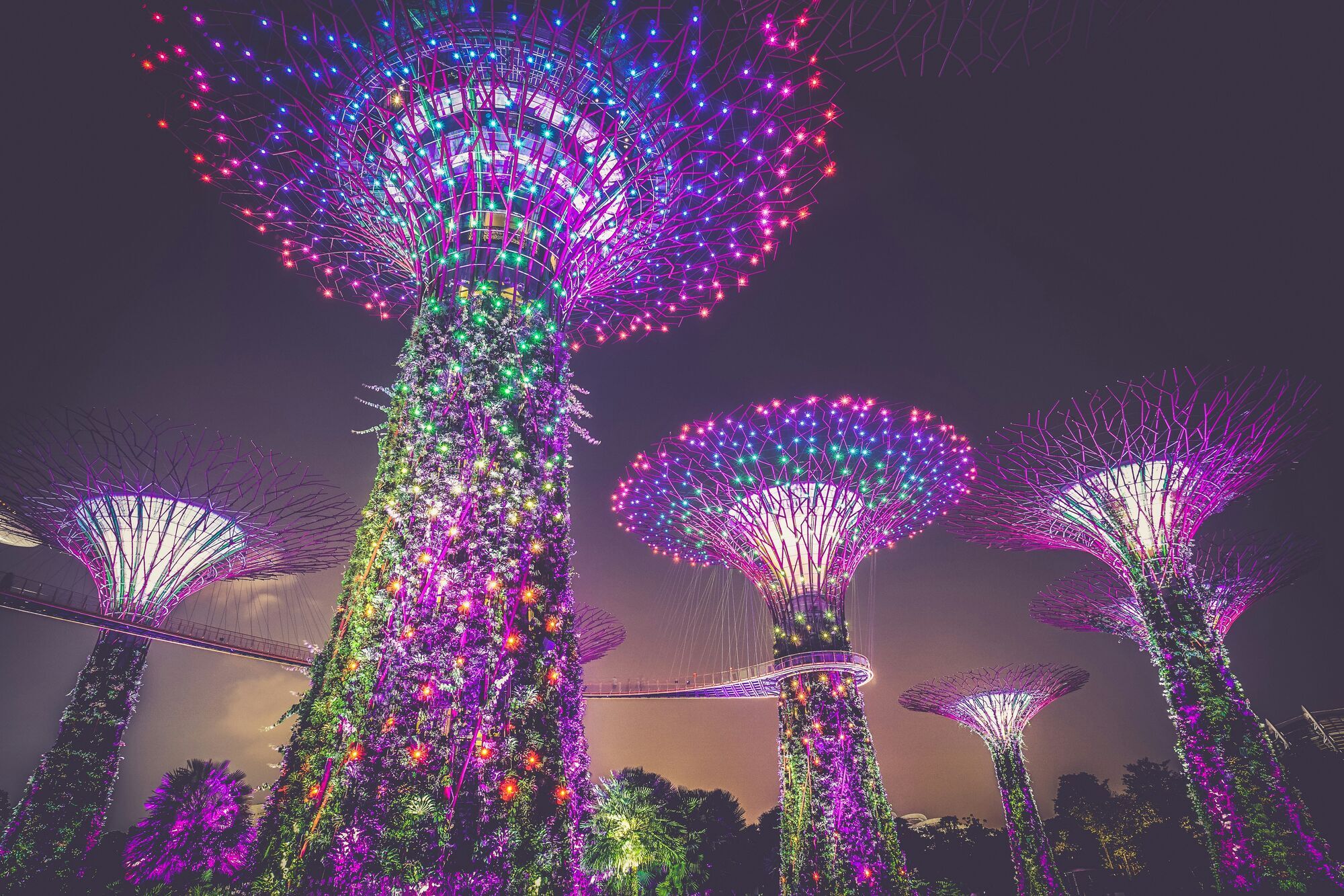 Super Tree Grove at Gardens by the Bay