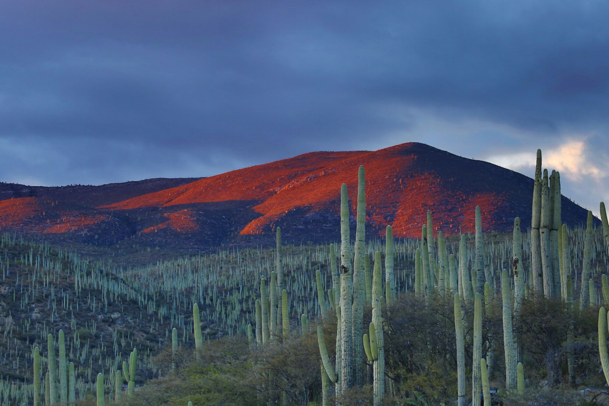 Desert at Dusk