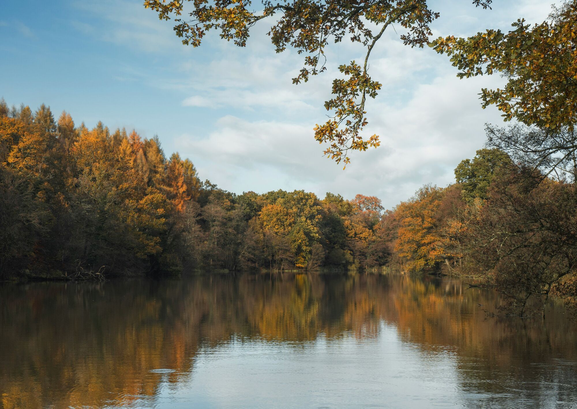 Autumnal colours at Cannop Ponds, Forest of Dean