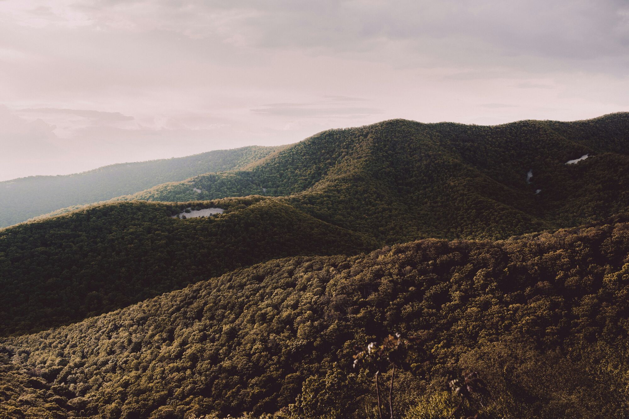 Shenandoah National Park, United States