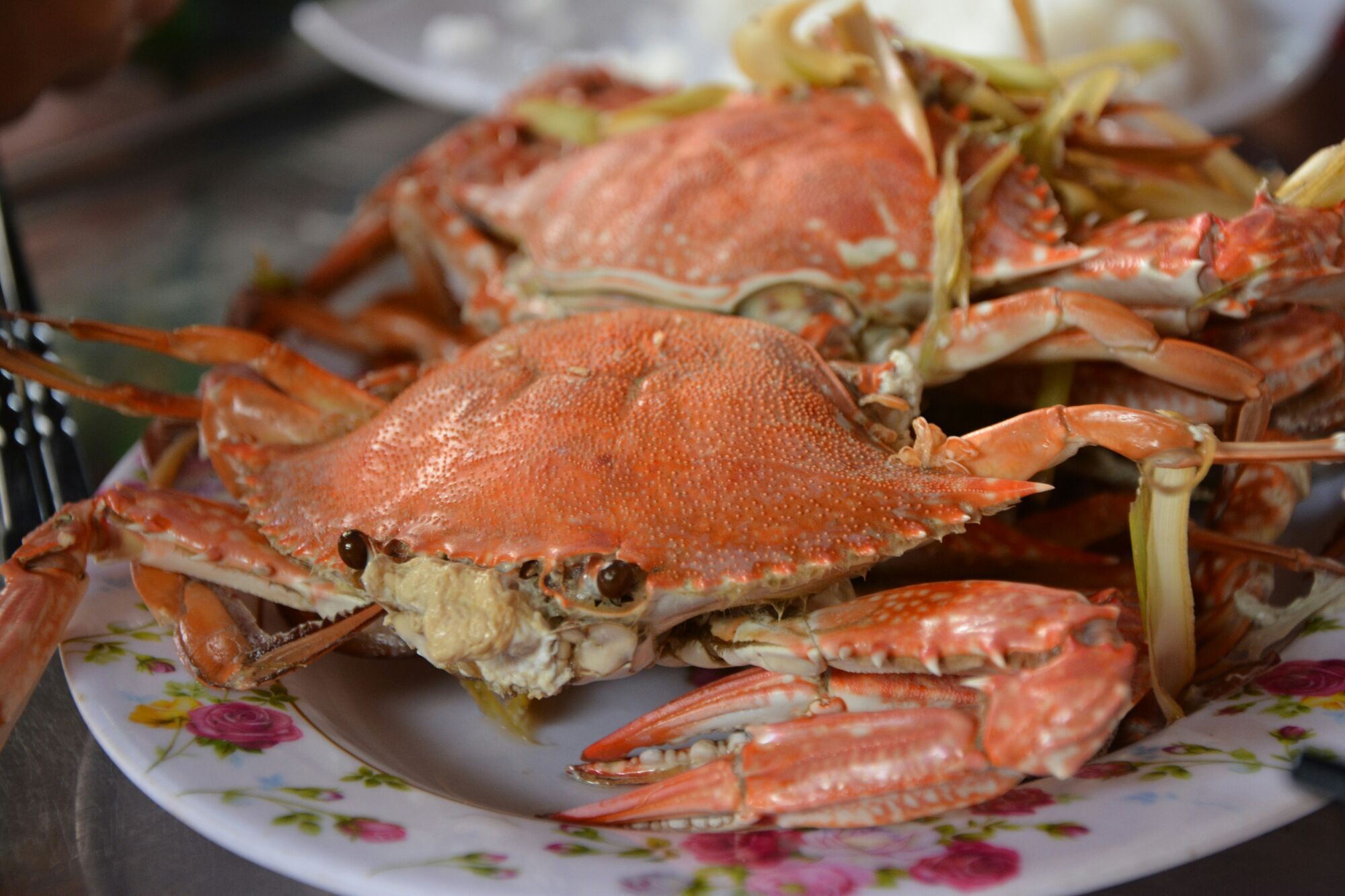 cooked crab on white ceramic plate