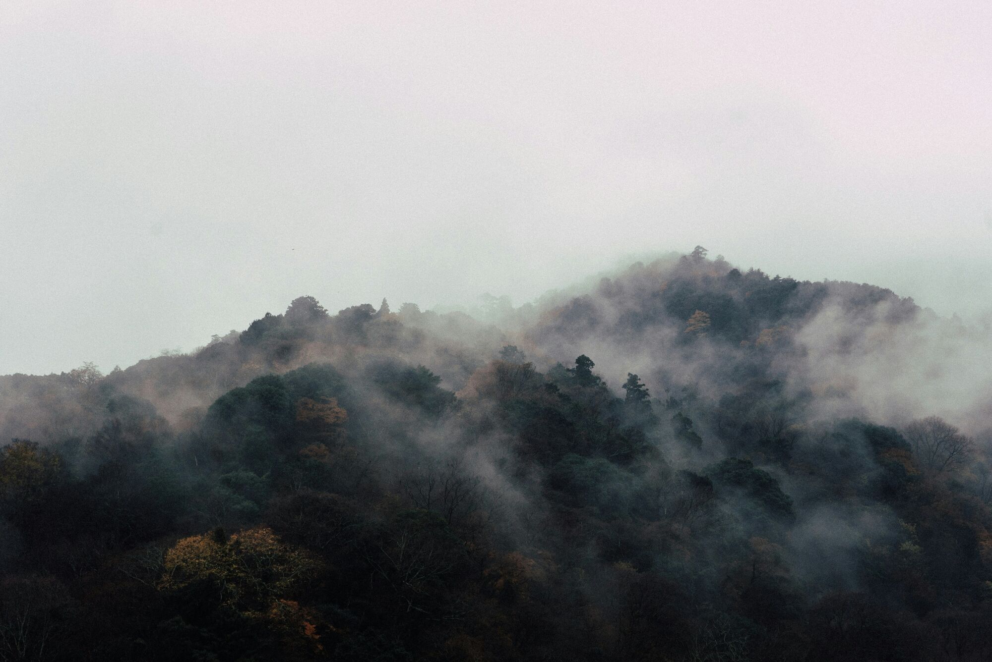 Arashiyama, Kyōto-shi, Japan