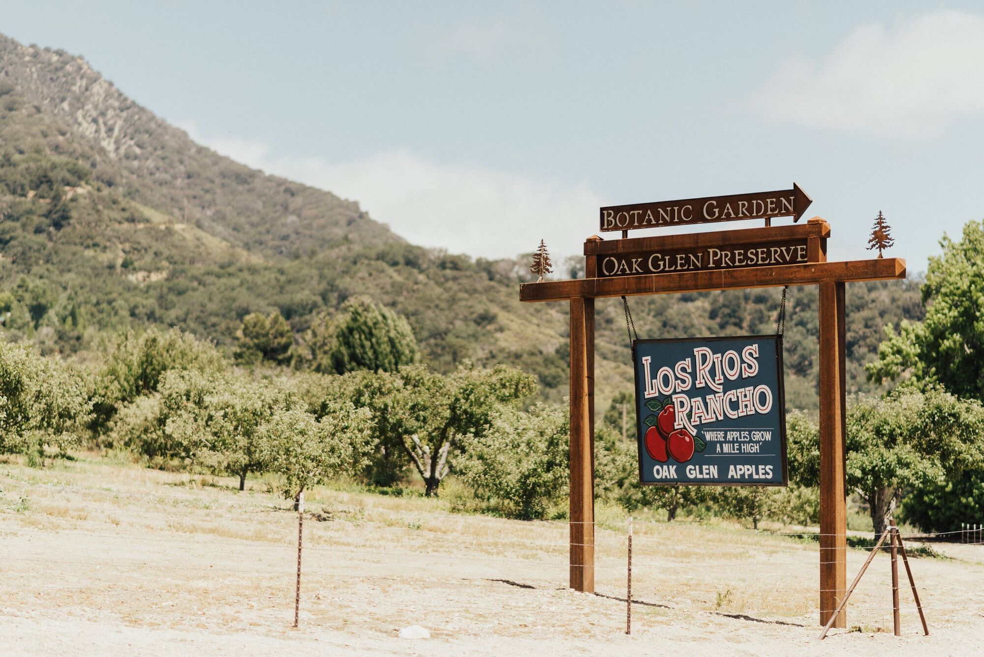 Los Angeles Apple-Picking Spots: Best Farms Near LA This Fall