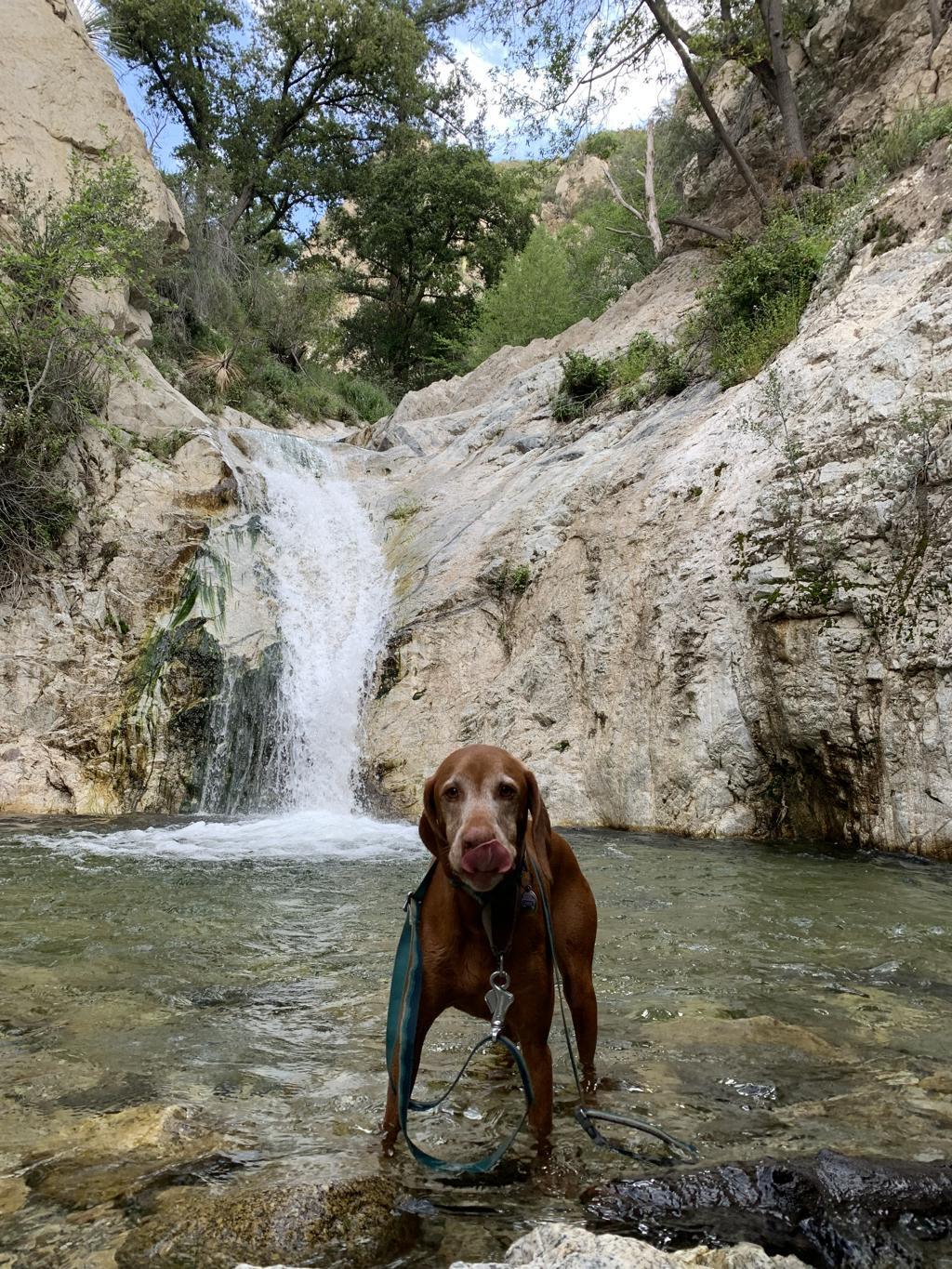 Top 5 Waterfall Hikes Near Los Angeles for Nature Lovers