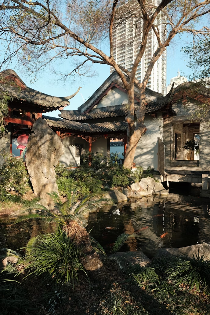 Traditional Chinese pavilion and pond in Sydney’s Chinese Garden of Friendship