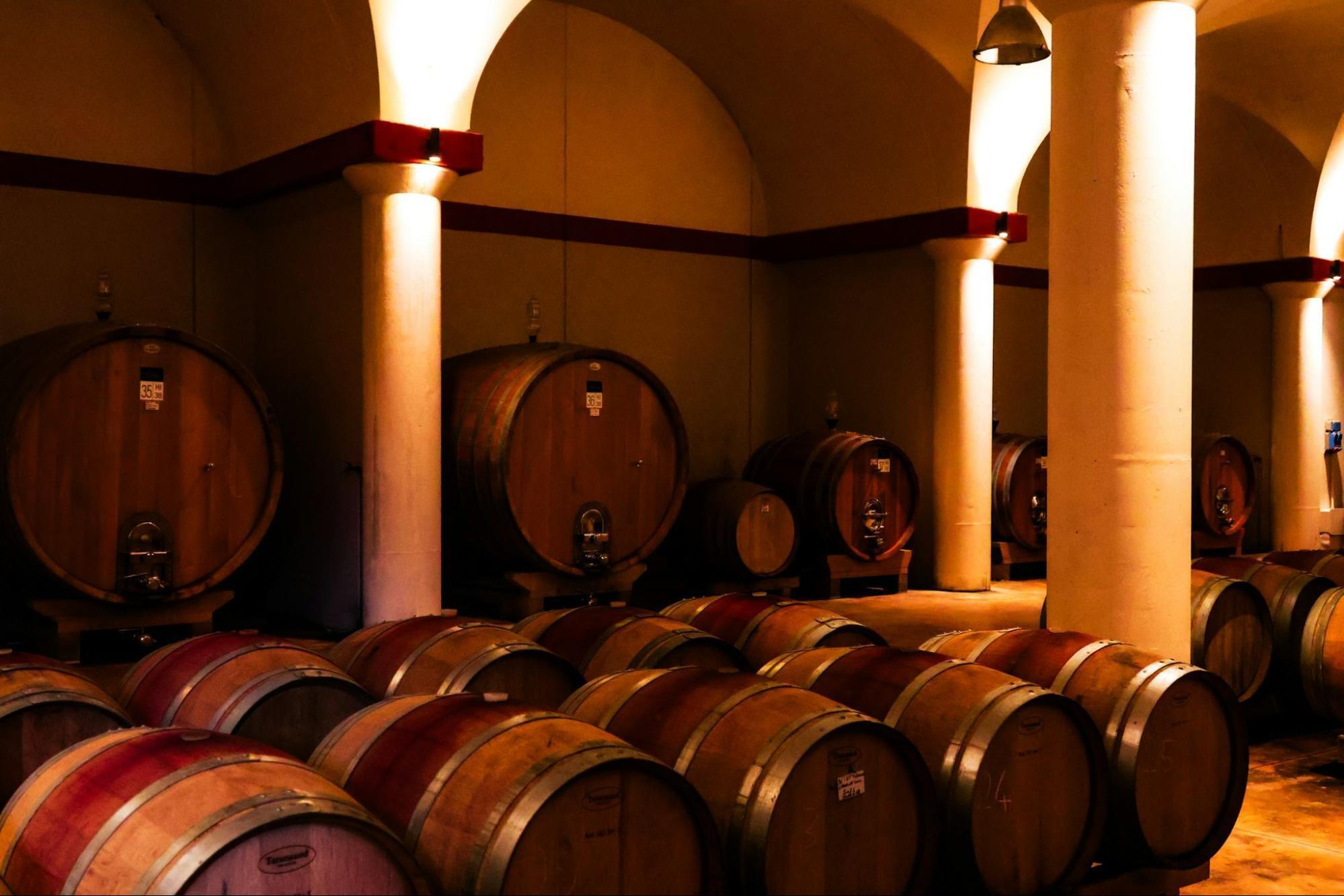Wooden barrels arranged inside a distillery cellar