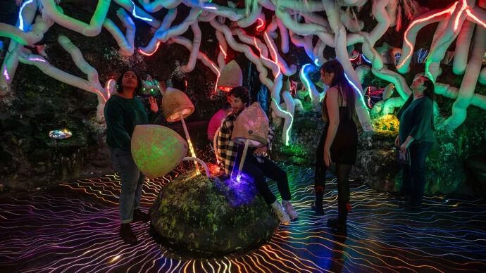 Visitors exploring an illuminated installation at Wake The Tiger in Bristol