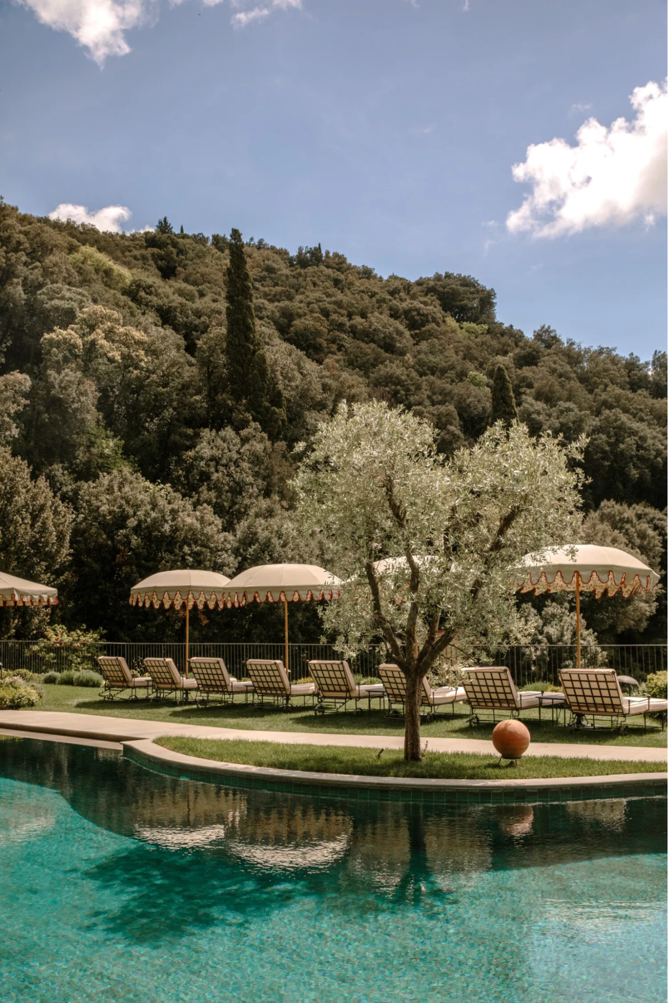 Outdoor swimming pool surrounded by olive trees and sun loungers in the Tuscan hills near Florence