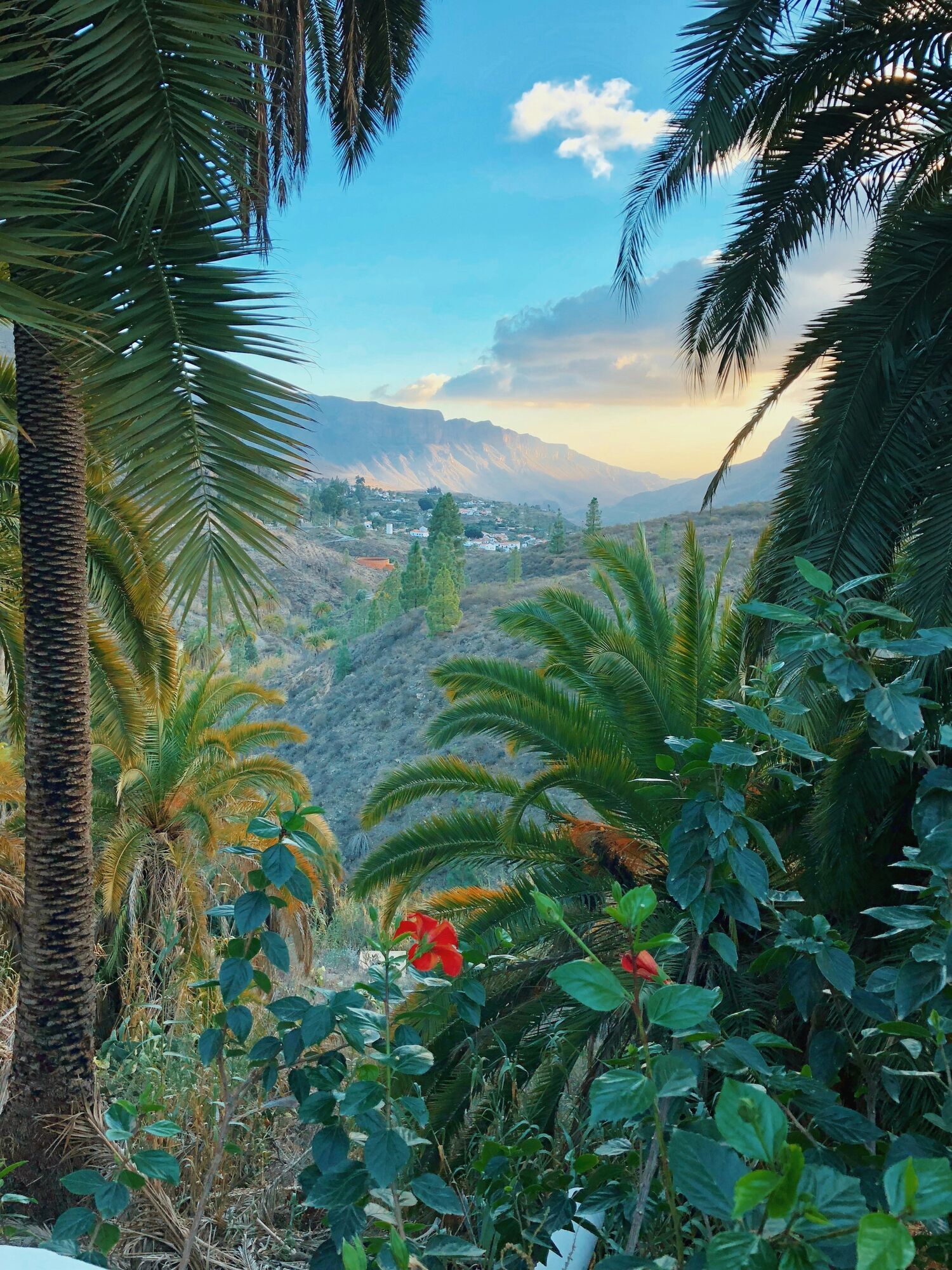 Scenic view of Tenerife’s green hills and palm trees at sunset