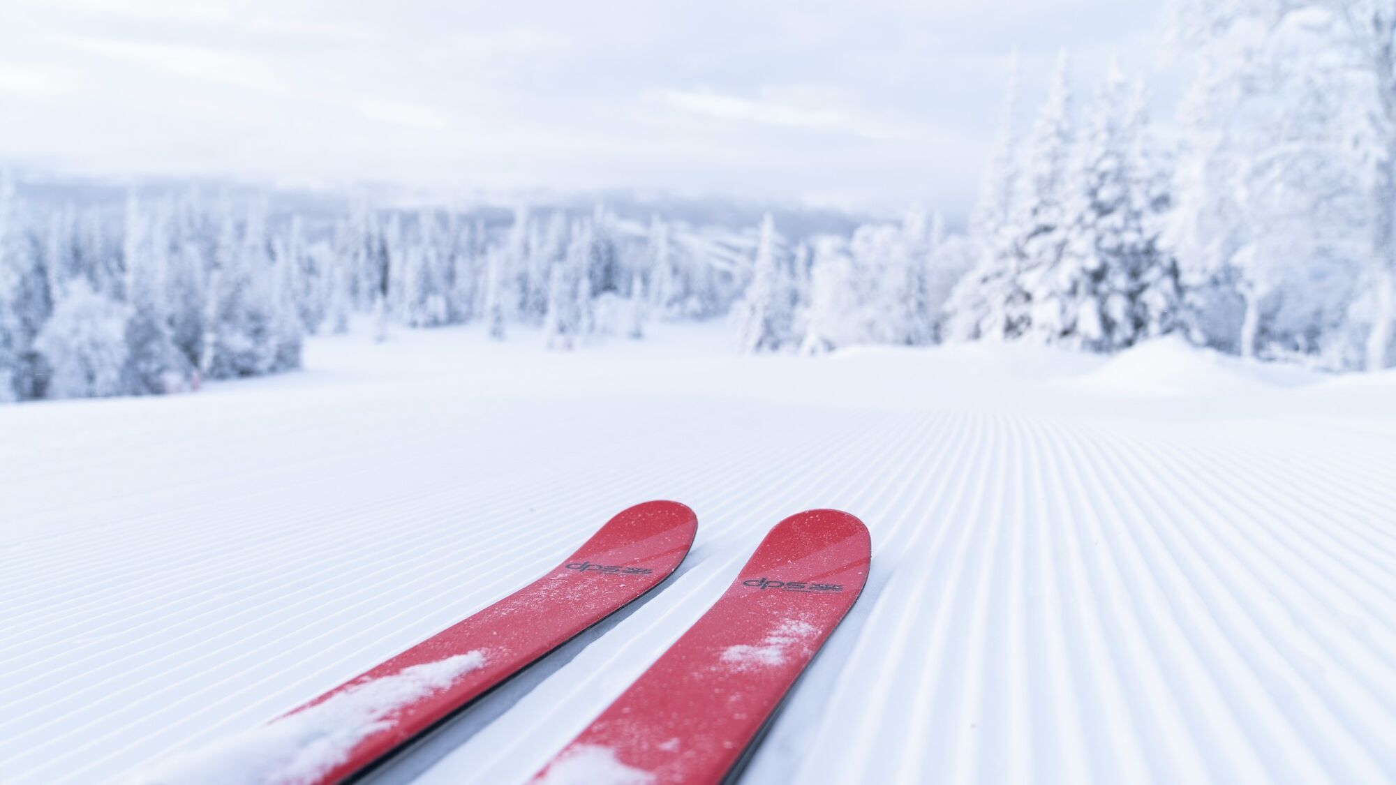 Red skis placed on a freshly groomed slope