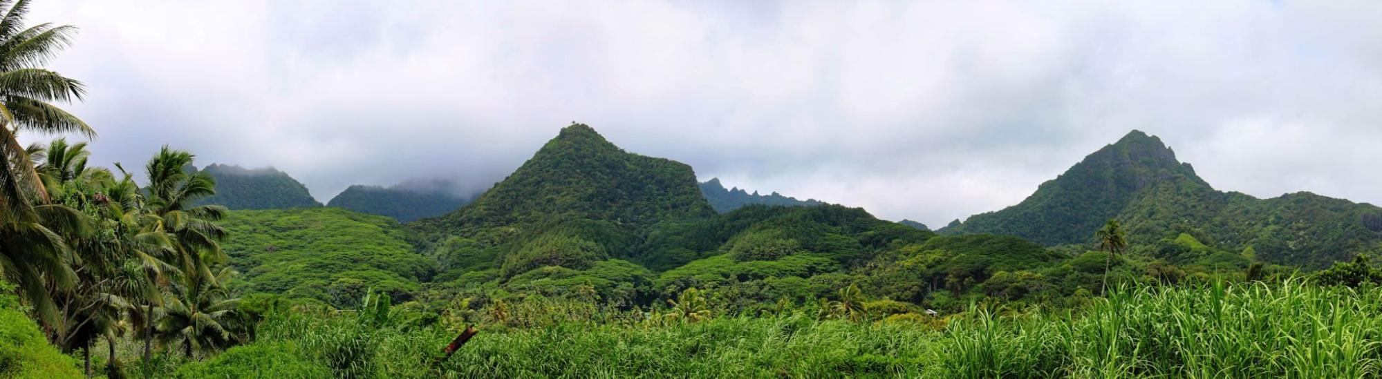 Panoramic view of Rarotonga’s lush volcanic mountains covered in tropical rainforest