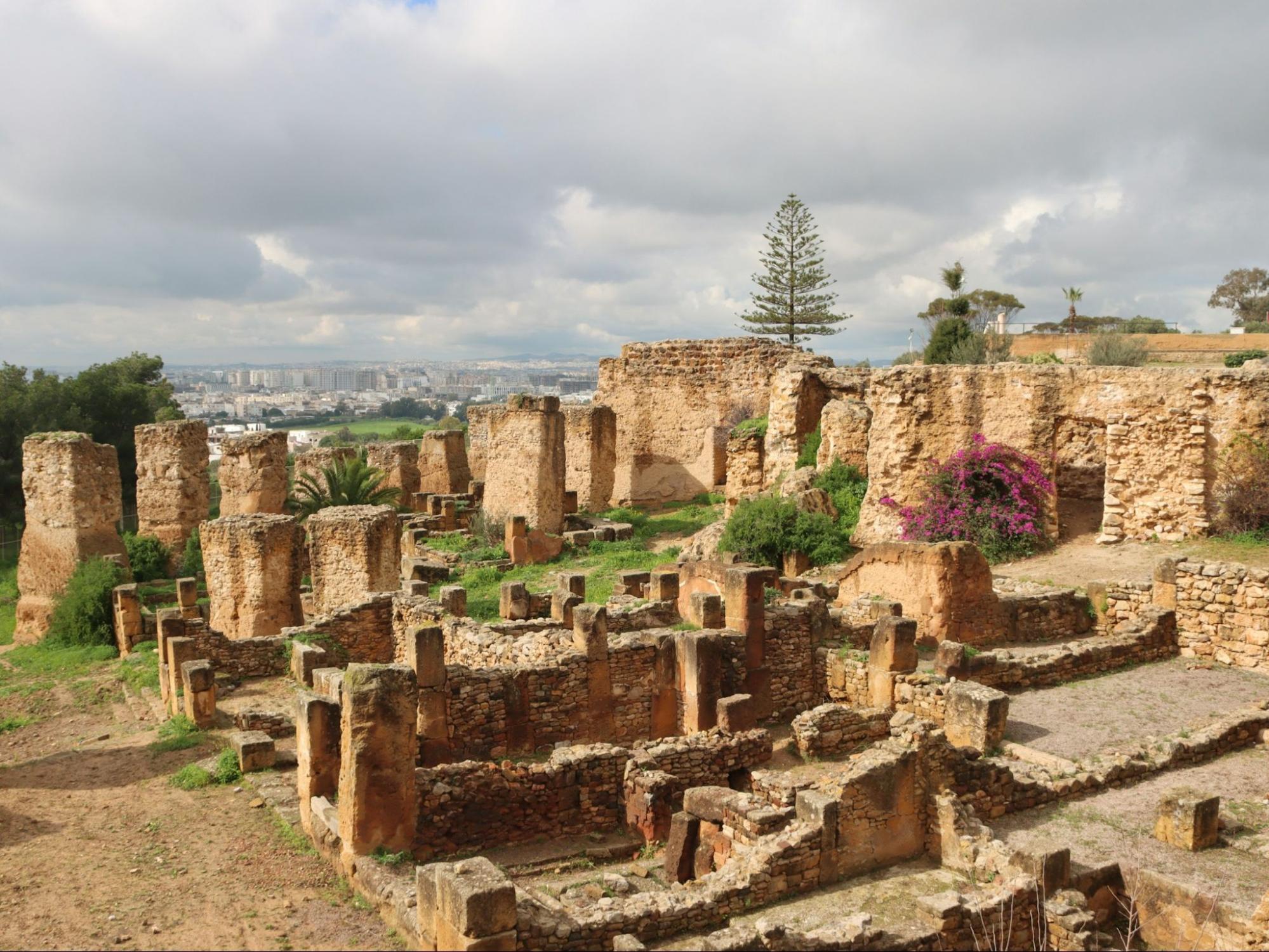 Ancient ruins of Carthage overlooking the city of Tunis