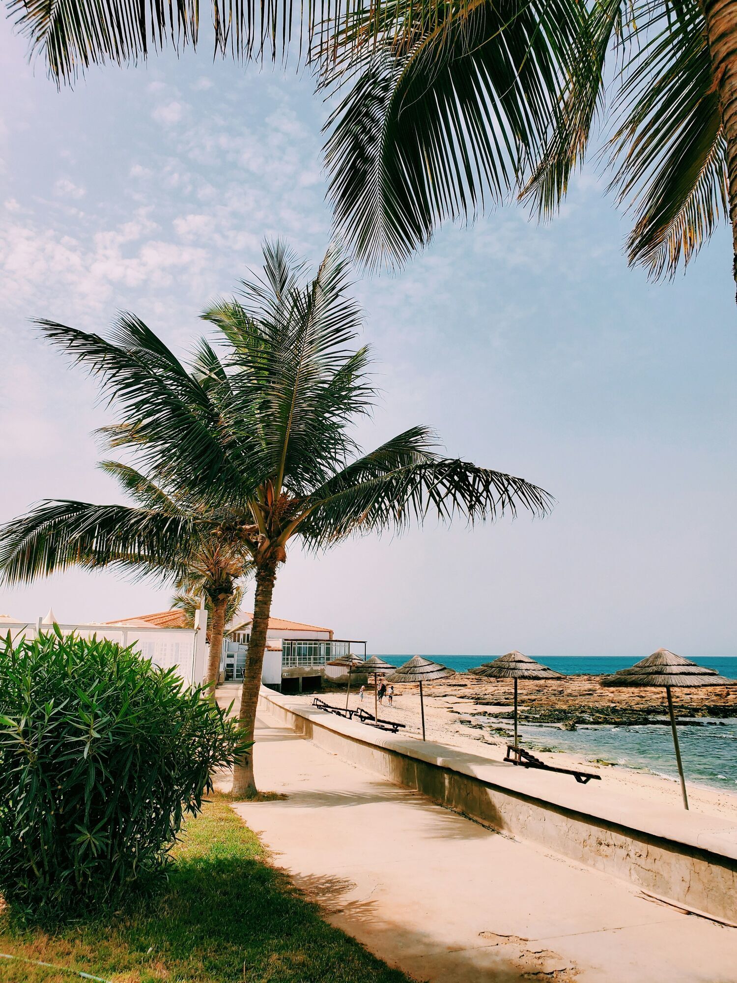 Palm trees and sun loungers along a quiet beach on Sal Island, Cape Verde