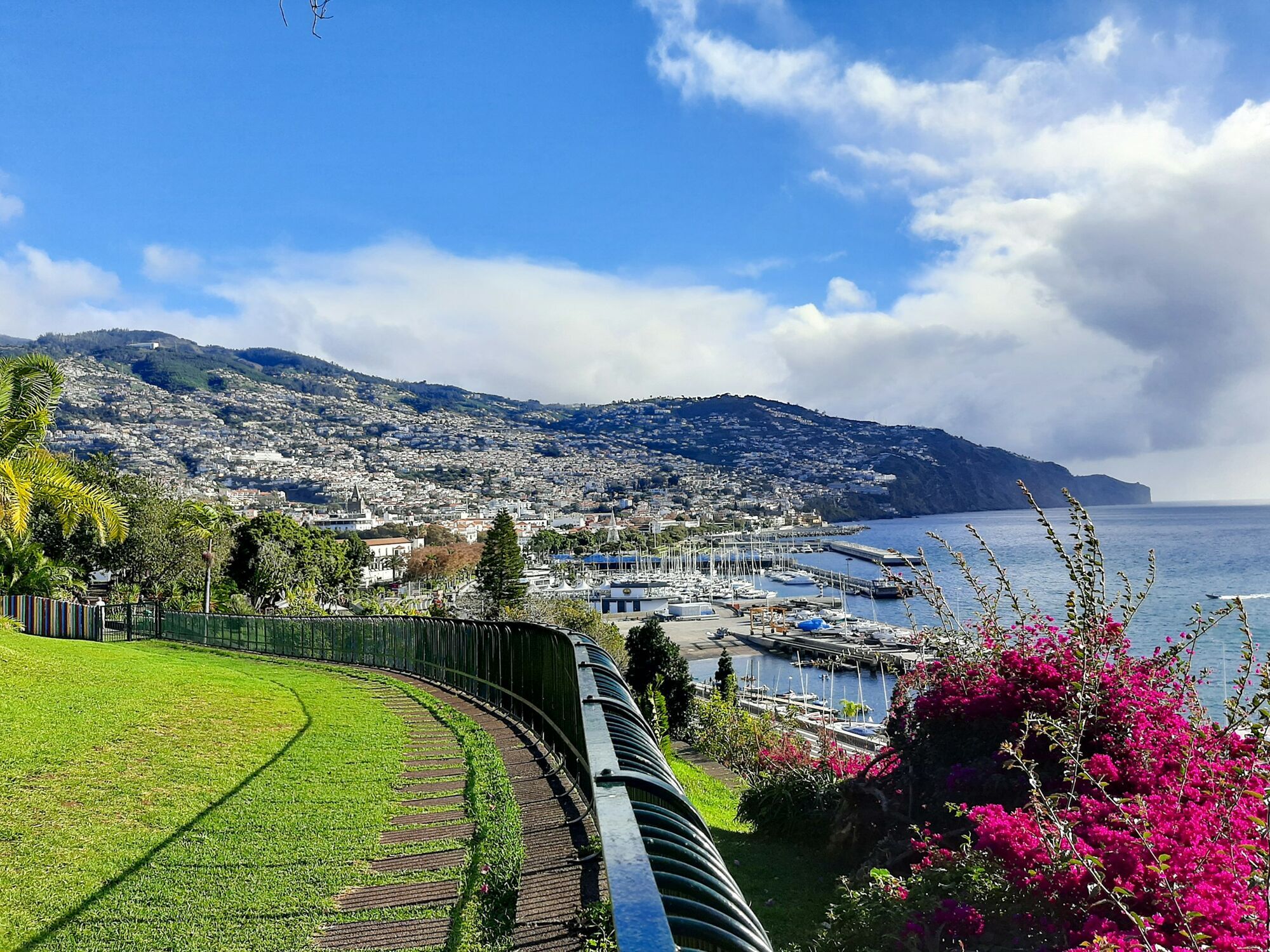 View over Funchal harbour and hillside neighbourhoods