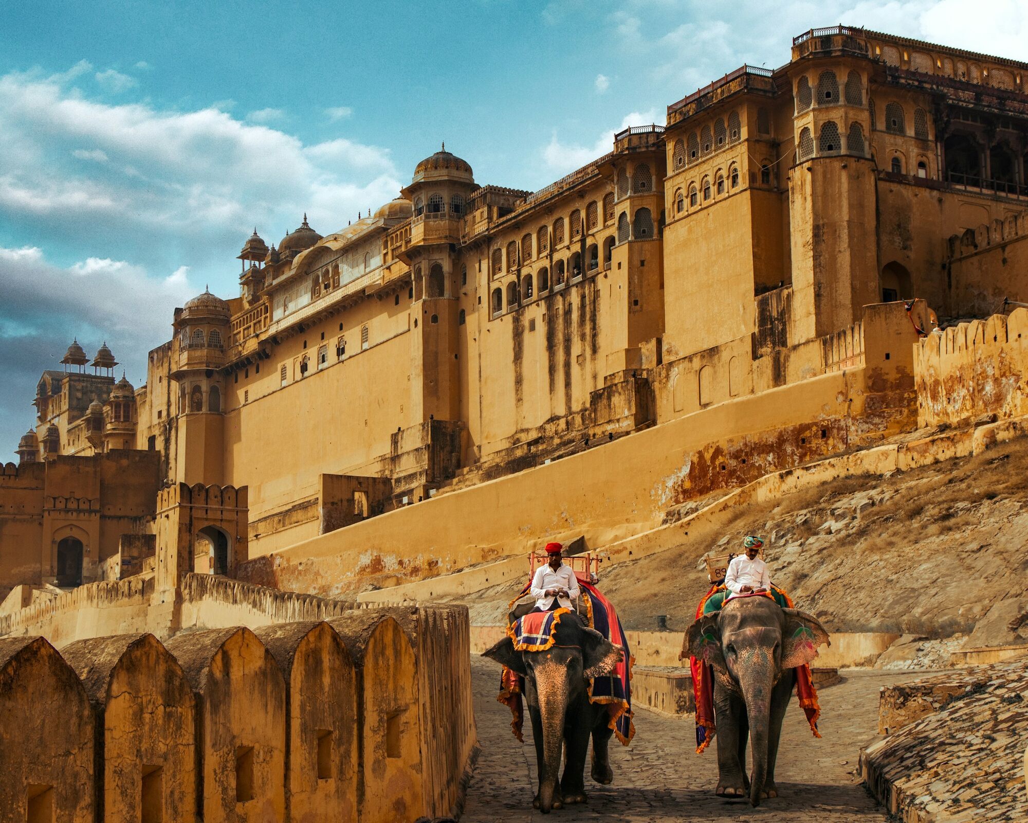 Elephants walking near Amer Fort in Jaipur