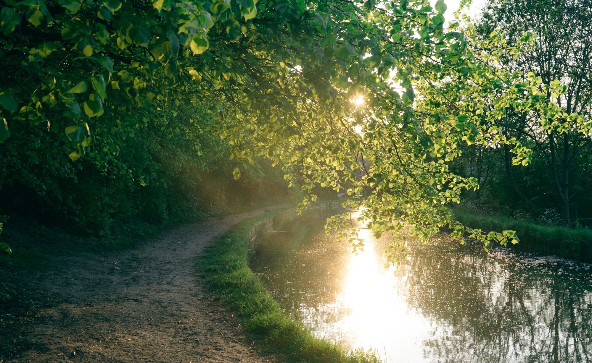 Riverside footpath at sunset with overhanging green leaves and reflected light on calm water