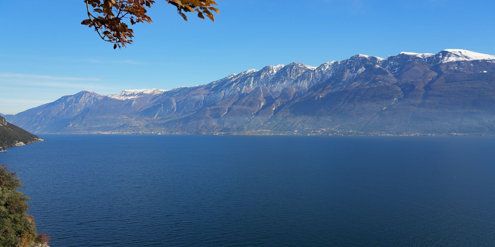 A quiet view of Lake Garda with cypress trees and snow-tipped mountains in the background
