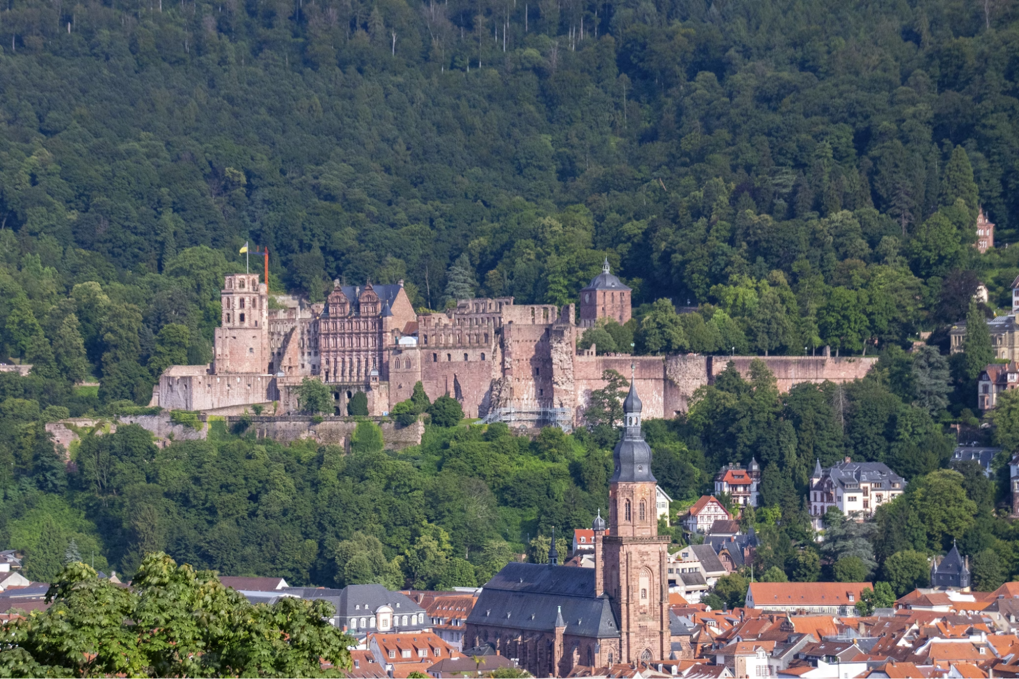 View of Heidelberg Castle surrounded by forest and historic buildings