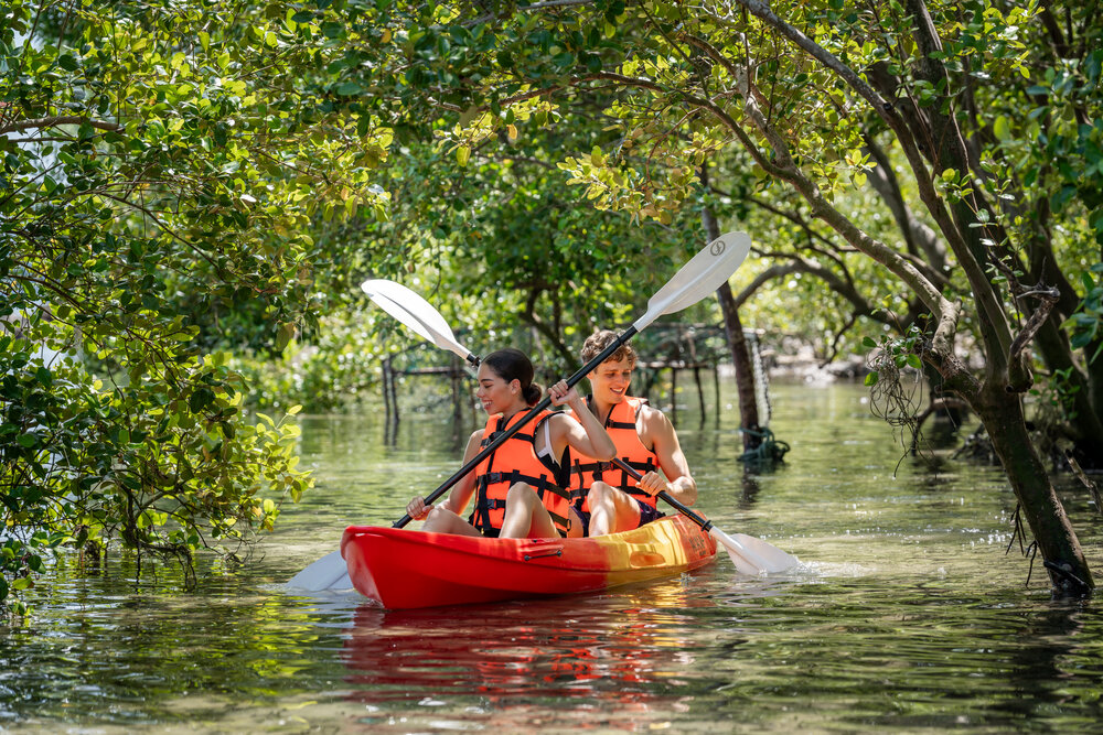 Two people kayaking through a mangrove forest in bright life jackets