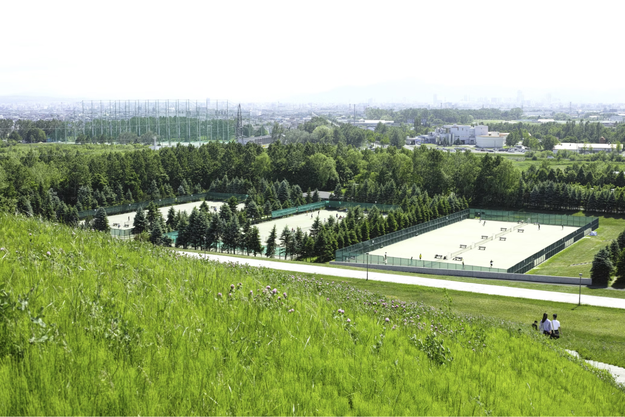 A green park with tennis courts surrounded by trees, viewed from a grassy hill in Sapporo
