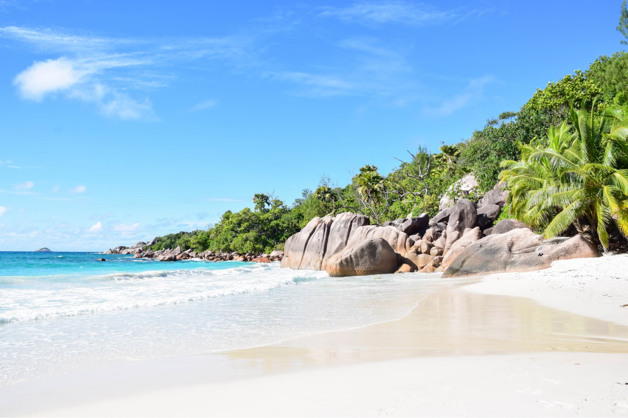 Tropical beach with white sand, turquoise water, and palm trees on Mahé Island