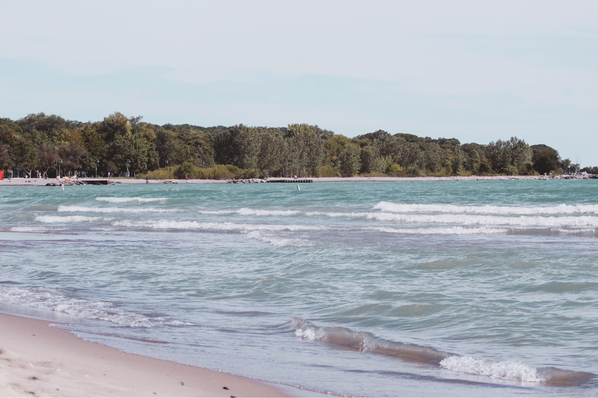 A beach in Toronto with gentle waves and a tree-lined shoreline