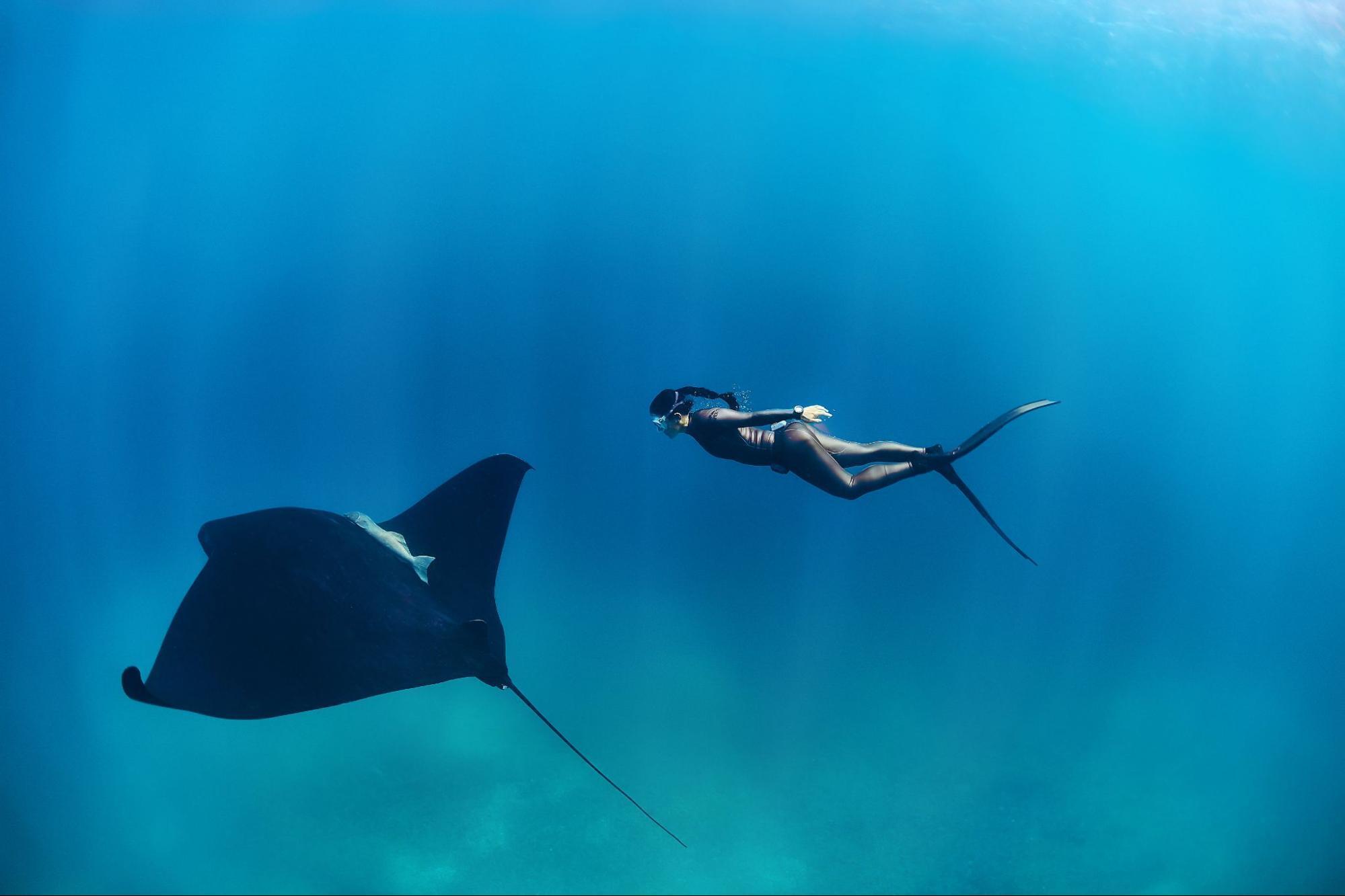Hanli Prinsloo freediving next to a manta ray