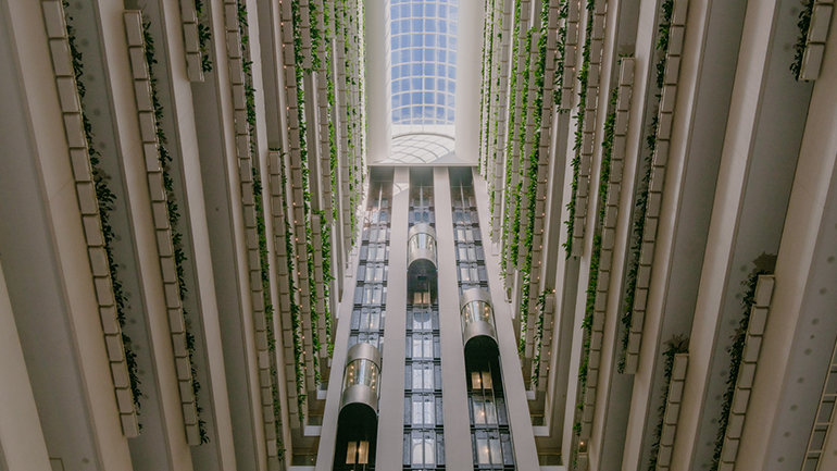 Interior view of InterContinental Brisbane with tall atrium, glass elevators, and vertical garden walls