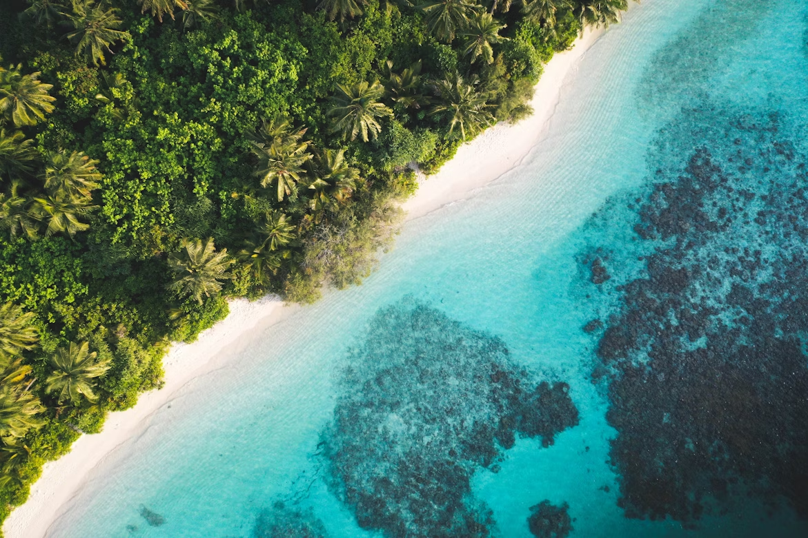 Aerial view of a tropical beach on Dhigurah Island with clear turquoise water, coral reefs, and dense palm