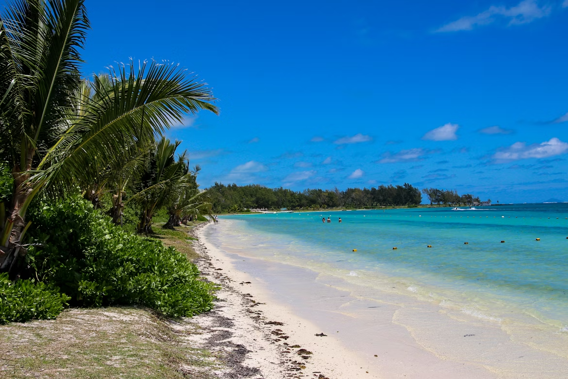 Palm‑fringed shoreline and turquoise lagoon in Blue Bay, Mauritius
