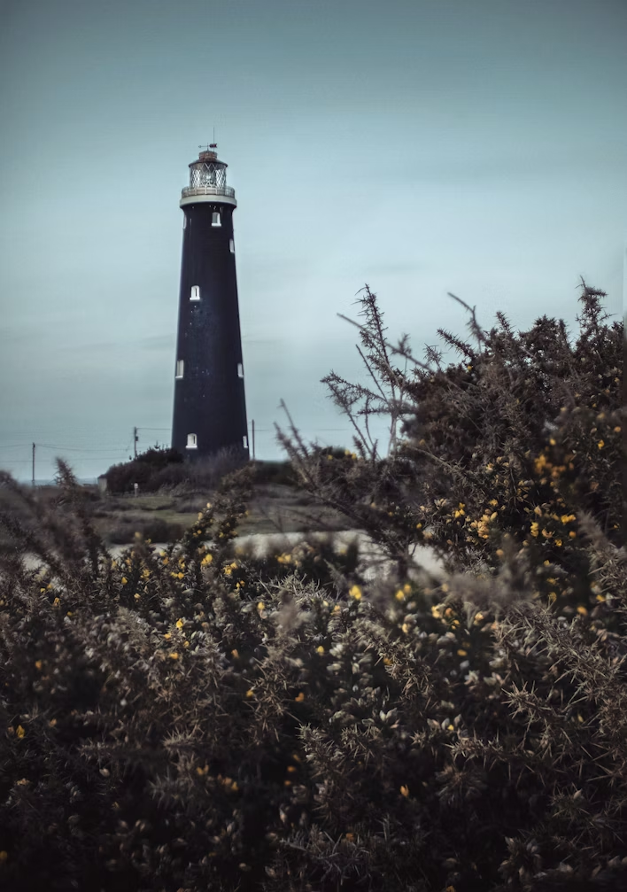 Black lighthouse surrounded by coastal vegetation in Dungeness, England