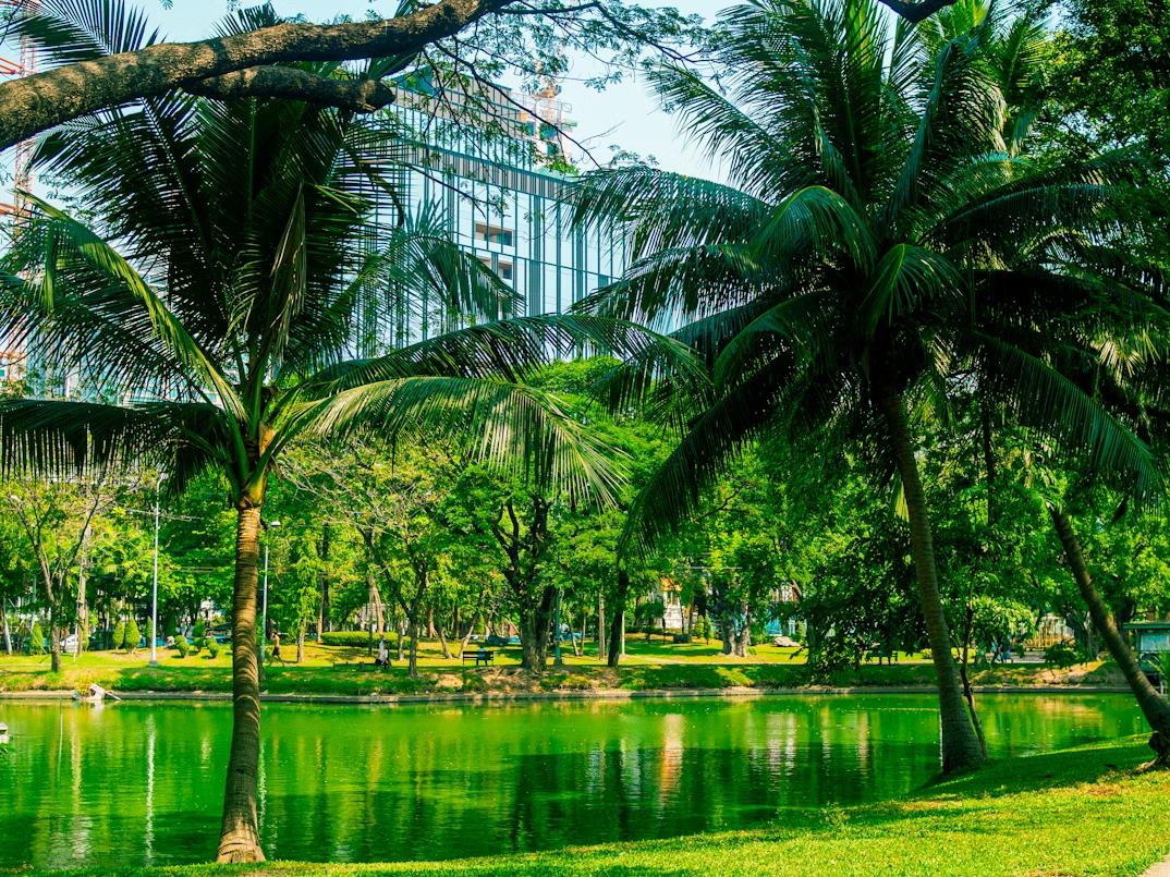 Lumpini Park with palm trees and lake in central Bangkok