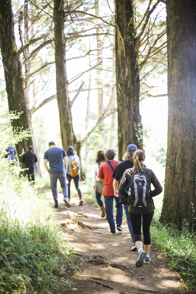 Group of hikers walking along a forest trail in a mountain area