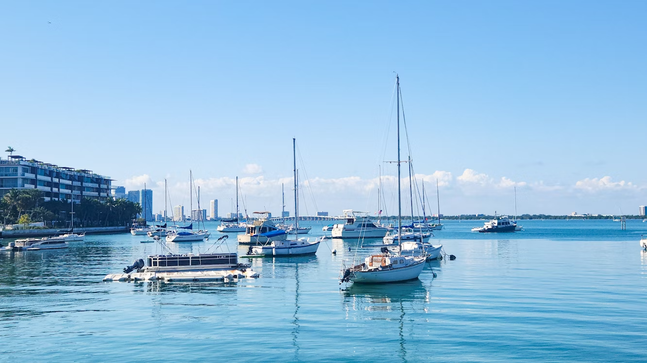 Boats docked at a marina in Florida