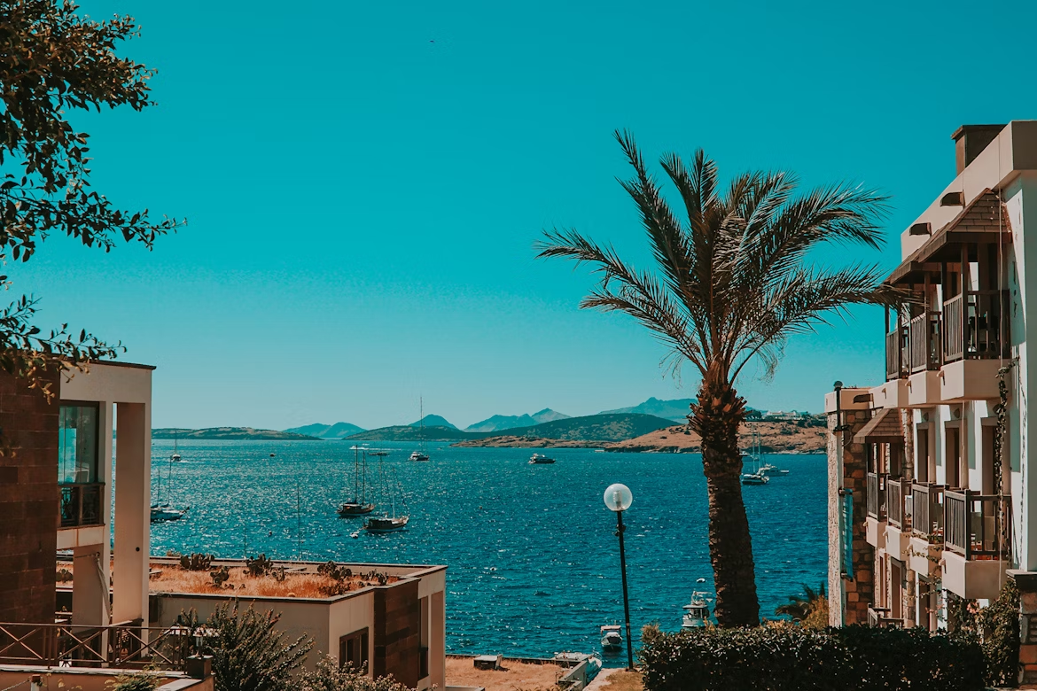 Seaside view with palm trees and boats in Bodrum, Türkiye